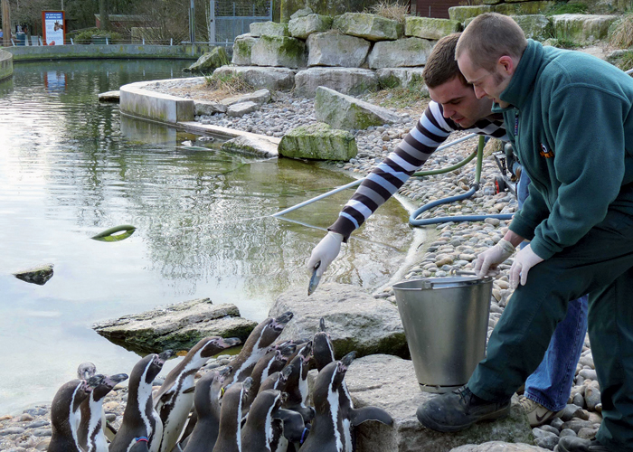 Marwell Wildlife