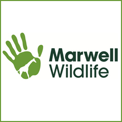 Win a family day ticket to Marwell Wildlife!