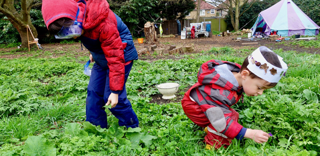 The Woodland Nursery