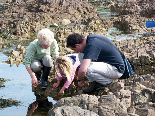 Alderney Channel Islands