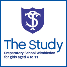 The Study Preparatory School