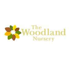 The Woodland Nursery - Forest School