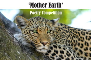 Poetry Competition Winner Announced!
