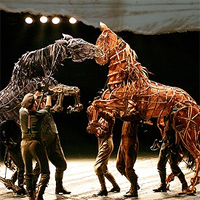 War Horse